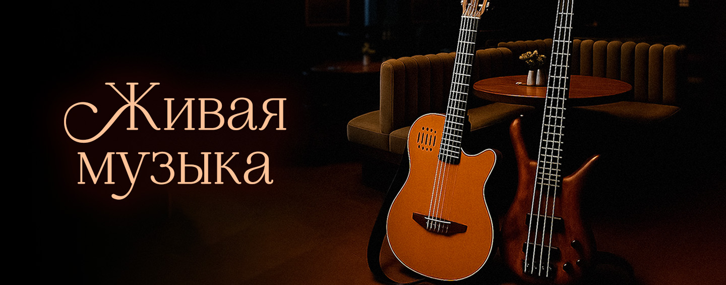 Дуэт гитар  Alex Dimmer