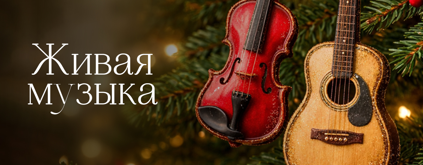 скрипка и гитара 