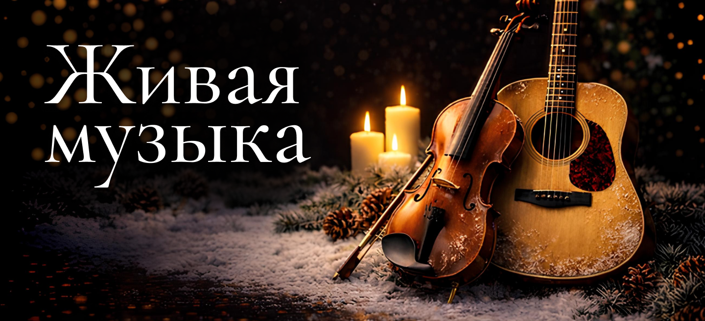 Скрипка и акустическая гитара